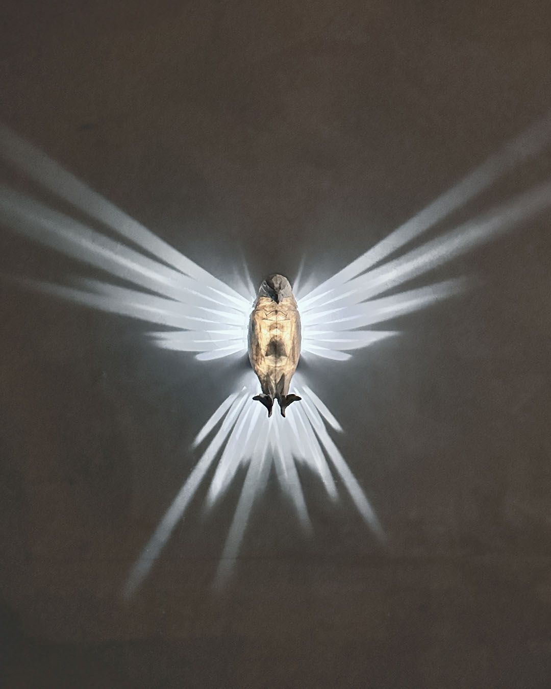 MIGHTY EAGLE - WALL LIGHT